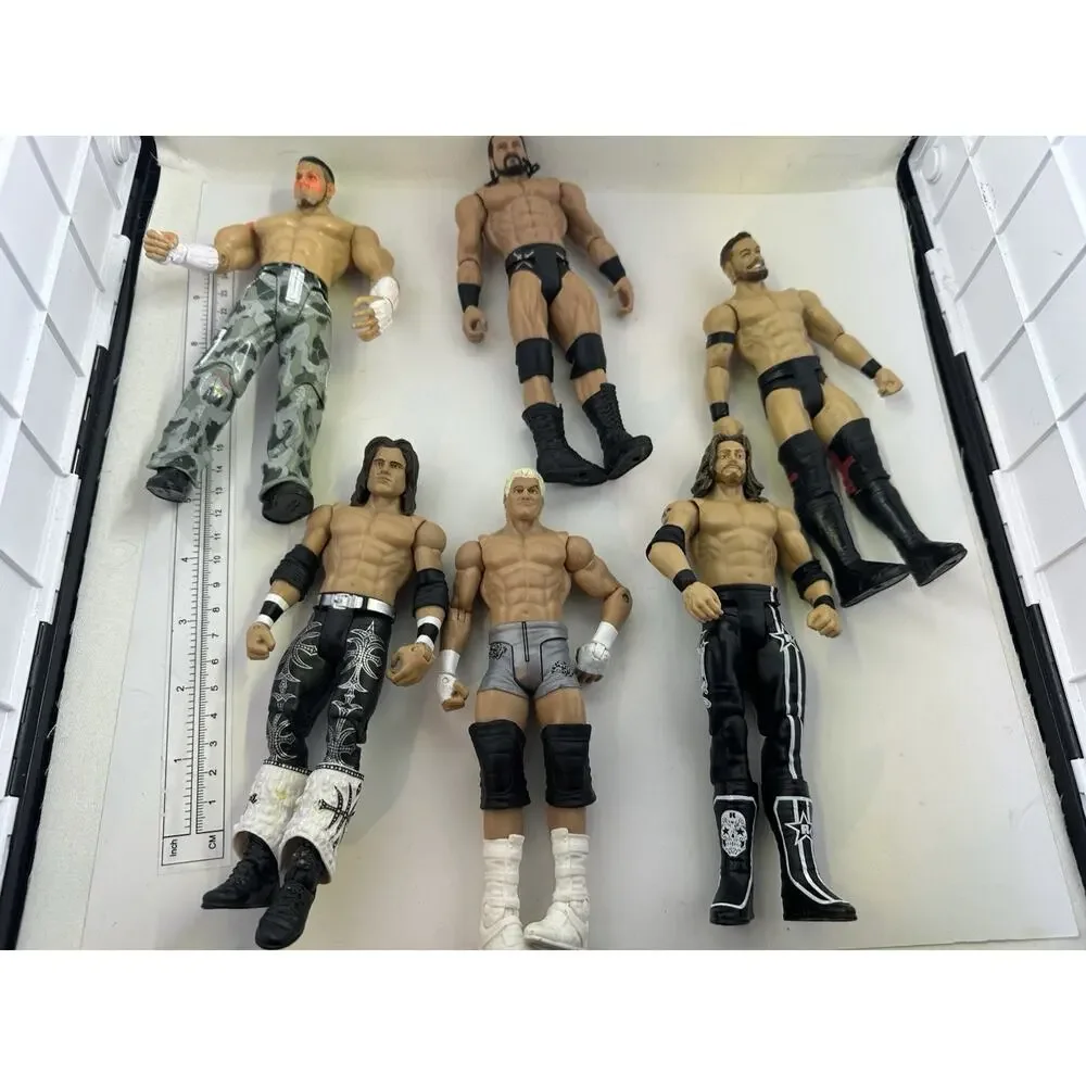 6 WWE WWF Wrestling Action Figures Pacific Matt Hardy Drew John Morrison Dolph